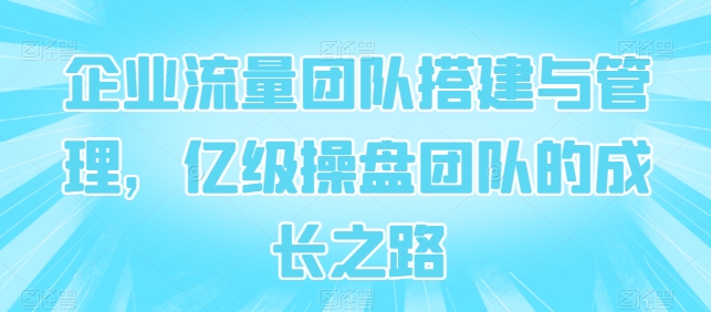企业流量团队搭建与管理,亿级操盘团队的成长之路|淘骐网赚资源库