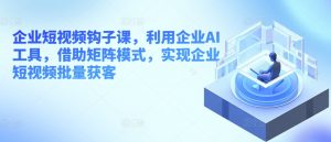 企业短视频钩子课,利用企业AI工具,借助矩阵模式,实现企业短视频批量获客|淘骐网赚资源库
