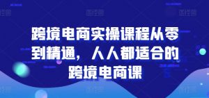 跨境电商实操课程从零到精通,人人都适合的跨境电商课|淘骐网赚资源库