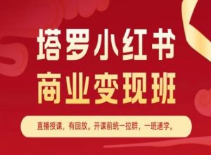 塔罗小红书商业变现班，小红书变现教程|淘骐网赚资源库