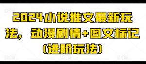 2024小说推文最新玩法，动漫剧情+图文标记(进阶玩法)|淘骐网赚资源库