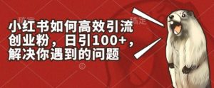 小红书如何高效引流创业粉,日引100+,解决你遇到的问题【揭秘】|淘骐网赚资源库