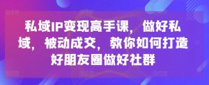 私域IP变现高手课，做好私域，被动成交，教你如何打造好朋友圈做好社群|淘骐网赚资源库