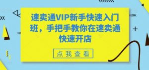 速卖通VIP新手快速入门班,手把手教你在速卖通快速开店|淘骐网赚资源库