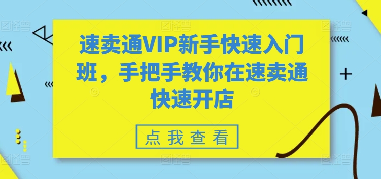 速卖通VIP新手快速入门班,手把手教你在速卖通快速开店|淘骐网赚资源库