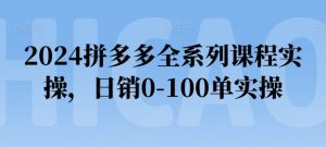2024拼多多全系列课程实操，日销0-100单实操【必看】|淘骐网赚资源库