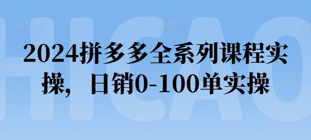 2024拼多多全系列课程实操,日销0-100单实操【必看】|淘骐网赚资源库
