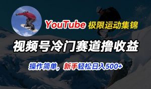 视频号冷门赛道撸收益，YouTube搬运极限运动集锦，暴力起号，操作简单流量高，轻松日入5张【揭秘】|淘骐网赚资源库