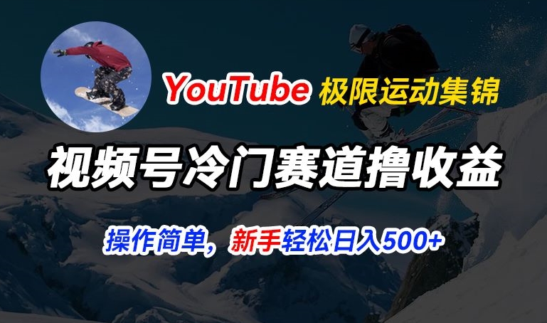 视频号冷门赛道撸收益,YouTube搬运极限运动集锦,暴力起号,操作简单流量高,轻松日入5张【揭秘】|淘骐网赚资源库