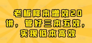 老板降本增效20讲,管好三本五效,实现低本高效|淘骐网赚资源库
