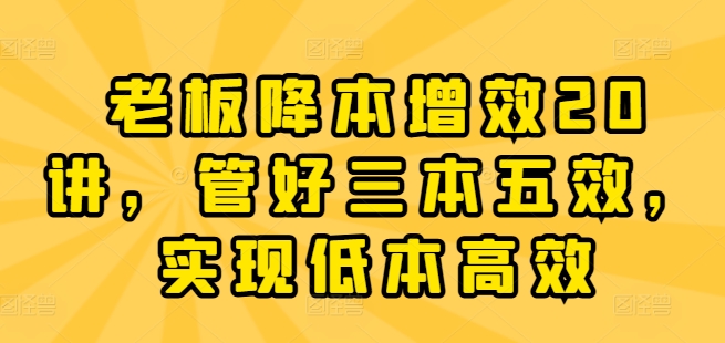 老板降本增效20讲，管好三本五效，实现低本高效|淘骐网赚资源库