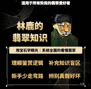 林鹿的翡翠知识,用宝石眼光,系统全面的看懂翡翠|淘骐网赚资源库