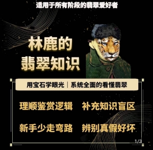 林鹿的翡翠知识,用宝石眼光,系统全面的看懂翡翠|淘骐网赚资源库