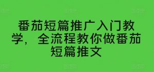 番茄短篇推广入门教学，全流程教你做番茄短篇推文|淘骐网赚资源库
