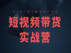短视频带货实战营(高阶课),从0到1做个赚钱的抖音号|淘骐网赚资源库