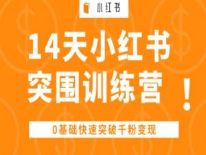 14天小红书突围训练营 ,0基础快速突破千粉变现|淘骐网赚资源库