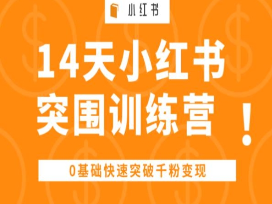 14天小红书突围训练营 ,0基础快速突破千粉变现|淘骐网赚资源库
