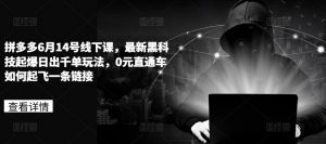 拼多多6月14号线下课，最新黑科技起爆日出千单玩法，0元直通车如何起飞一条链接|淘骐网赚资源库