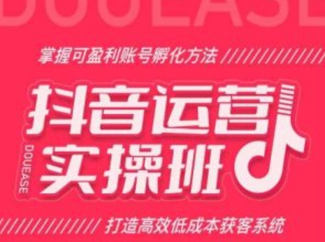 抖音运营实操班，掌握可盈利账号孵化方法，打造高效低成本获客系统|淘骐网赚资源库