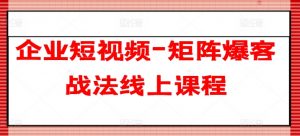 企业短视频-矩阵爆客战法线上课程|淘骐网赚资源库