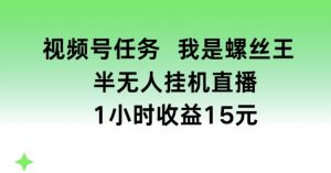 视频号任务,我是螺丝王, 半无人挂机1小时收益15元【揭秘】|淘骐网赚资源库