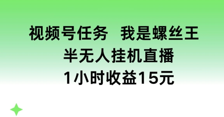 视频号任务，我是螺丝王， 半无人挂机1小时收益15元【揭秘】|淘骐网赚资源库