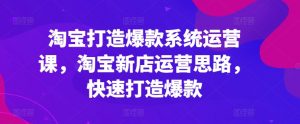 淘宝打造爆款系统运营课,淘宝新店运营思路,快速打造爆款|淘骐网赚资源库