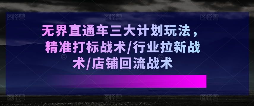 无界直通车三大计划玩法，精准打标战术/行业拉新战术/店铺回流战术|淘骐网赚资源库