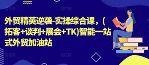 外贸精英逆袭-实操综合课,(拓客+谈判+展会+TK)智能一站式外贸加油站|淘骐网赚资源库