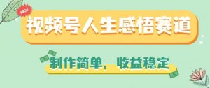 视频号人生感悟赛道，制作简单，收益稳定【揭秘】|淘骐网赚资源库
