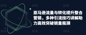 亚马逊流量与转化提升整合营销,多种引流技巧讲解助力高效突破销量瓶颈|淘骐网赚资源库