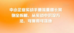 中小企业实战手册流量增长案例全拆解,从实战中沉淀方法,可复用可落地|淘骐网赚资源库