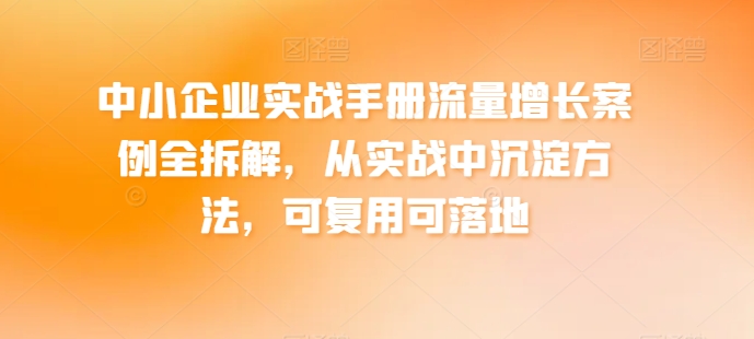 中小企业实战手册流量增长案例全拆解,从实战中沉淀方法,可复用可落地|淘骐网赚资源库