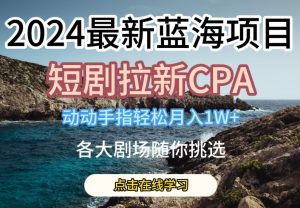 2024最新蓝海项日,短剧拉新CPA,动动手指轻松月入1W,全各大剧场随你挑选【揭秘】|淘骐网赚资源库