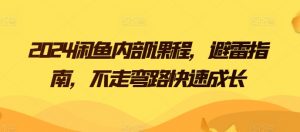 2024闲鱼内部课程，避雷指南，不走弯路快速成长|淘骐网赚资源库