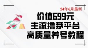 6月最新价值699的主流撸茅台平台精品养号下车攻略【揭秘】|淘骐网赚资源库