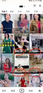 短剧智能叠加搬运技术，安卓配合软件模板操作|淘骐网赚资源库
