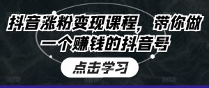 抖音涨粉变现课程,带你做一个赚钱的抖音号|淘骐网赚资源库