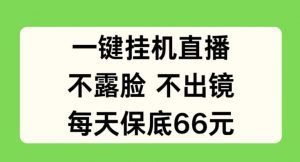 一键挂JI直播，不露脸不出境，每天保底66元【揭秘】|淘骐网赚资源库