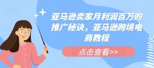 亚马逊卖家月利润百万的推广秘诀，亚马逊跨境电商教程|淘骐网赚资源库