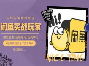 手把手教你0到1系统玩转闲鱼变现，爆款思维/超级曝光/超高转化|淘骐网赚资源库