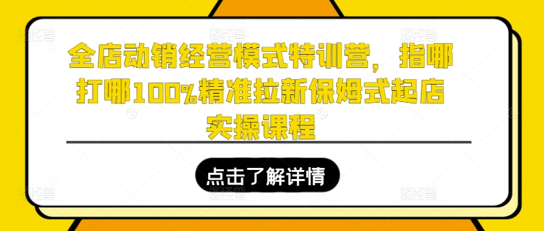 全店动销经营模式特训营,指哪打哪100%精准拉新保姆式起店实操课程|淘骐网赚资源库