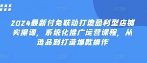 2024最新付免联动打造盈利型店铺实操课,系统化推广运营课程,从选品到打造爆款操作|淘骐网赚资源库