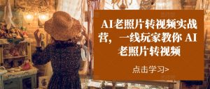 AI老照片转视频实战营，一线玩家教你AI老照片转视频|淘骐网赚资源库