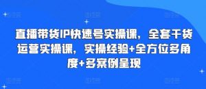 直播带货IP快速号实操课，全套干货运营实操课，实操经验+全方位多角度+多案例呈现|淘骐网赚资源库