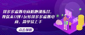 拼多多虚拟电商陪跑训练营,教你从0到1玩转拼多多虚拟电商,简单易上手|淘骐网赚资源库