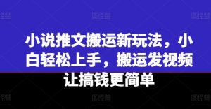小说推文搬运新玩法，小白轻松上手，搬运发视频让搞钱更简单|淘骐网赚资源库