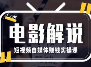 电影解说短视频自媒体赚钱实操课,教你做电影解说短视频,月赚1万|淘骐网赚资源库