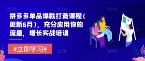拼多多单品爆款打造课程(更新6月)，充分应用你的流量，增长实战培训|淘骐网赚资源库