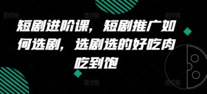 短剧进阶课，短剧推广如何选剧，选剧选的好吃肉吃到饱|淘骐网赚资源库